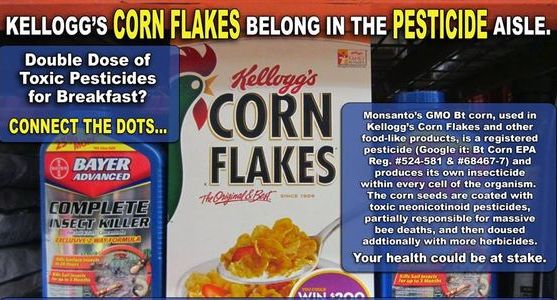 Kellogg Using GMOs in Its Products, Says Petition