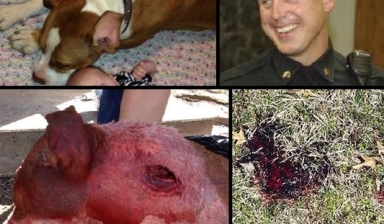 Oklahoma Cop Kills Harmless Pet Dog