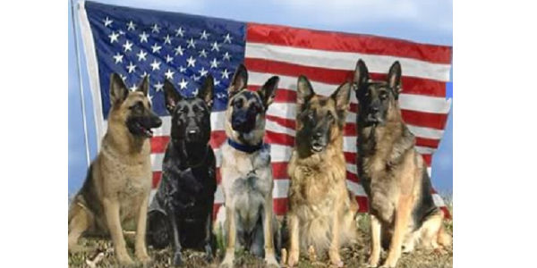 Ensure the Safe Return of Retired Military Dogs
