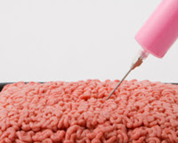 Ban Pink Slime, Petition Demands USDA