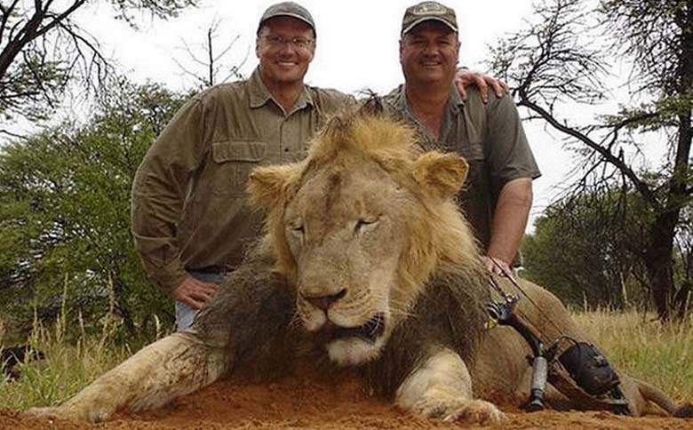 American Dentist Killing Safari Lion Goes in Hiding