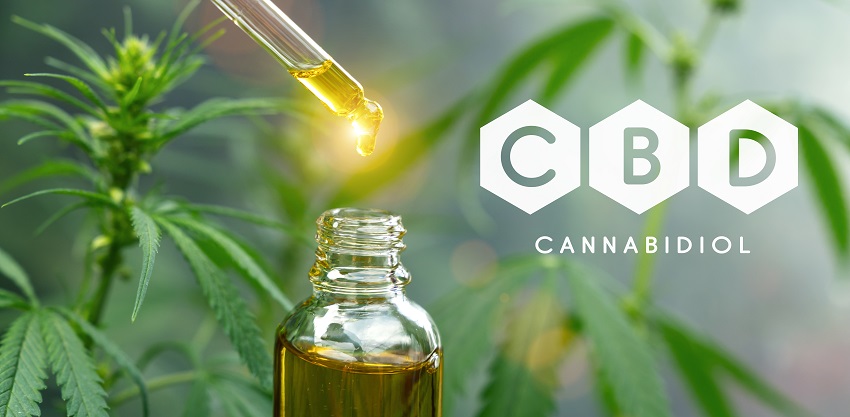 CBD Oil Brings Health Benefits to Pets and People