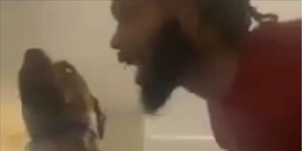 Outrage over Memphis Dog Abuse Video and Police Inaction