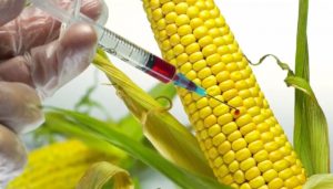 Diamond v. Chakrabarty Nature Turned Into Business Word Matters!