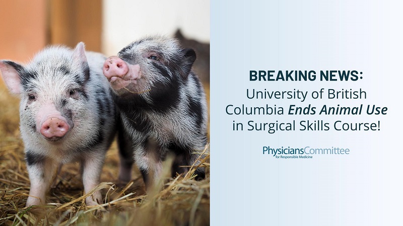 University of British Columbia (UBC) Replaces Animals!