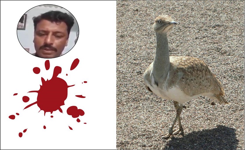 Pakistani Beaten to Death for Recording Illegal Bird Hunting by Arabs