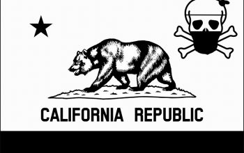 California Newsom Destruction