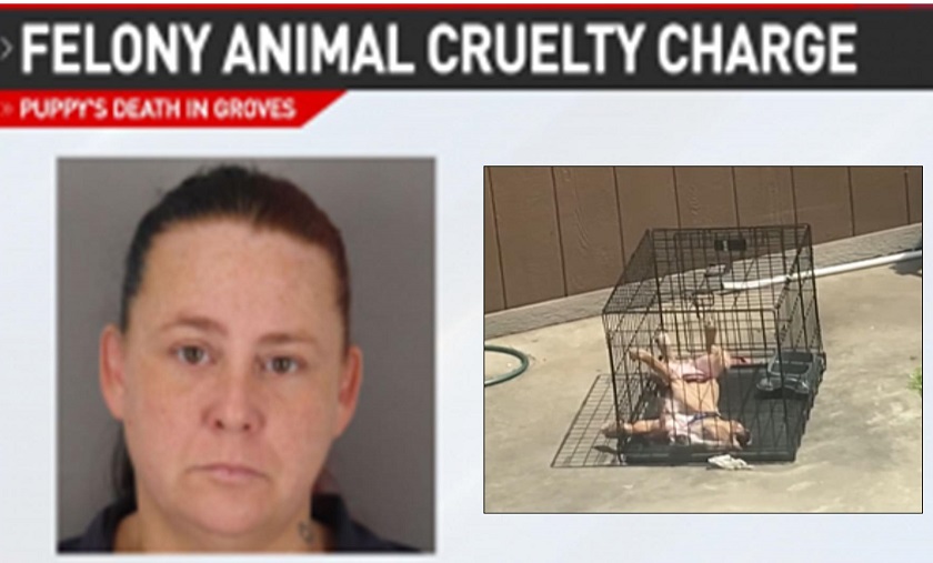 Groves Woman Charged with Animal Cruelty after Death of Caged Puppy
