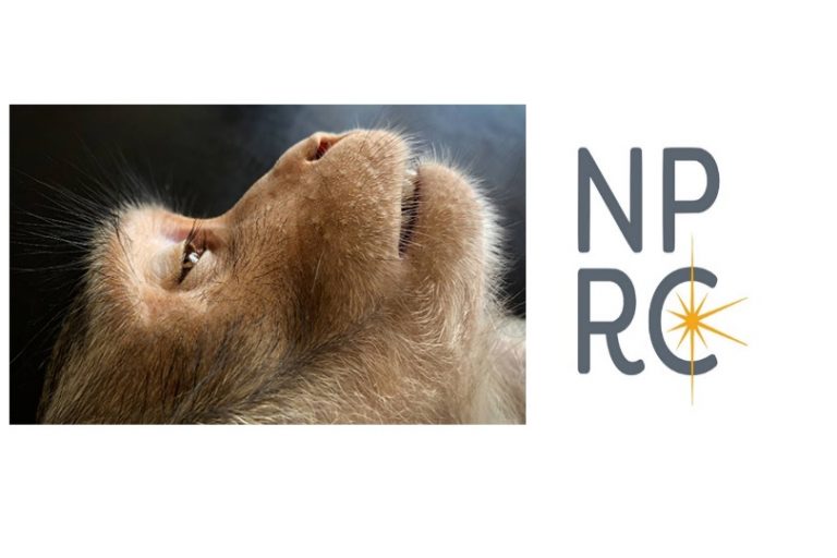 Complaint Filed against Oregon Primate Research Center for Killing